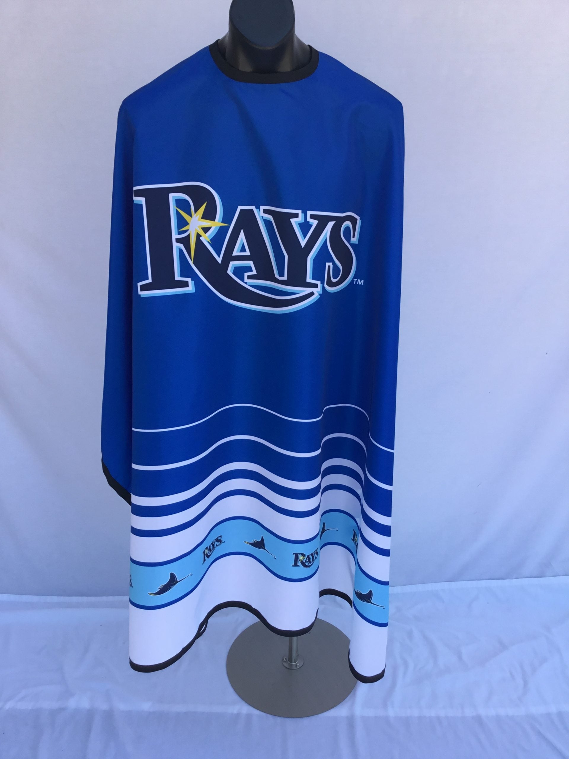 TAMPA BAY RAYS